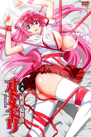 Assistir Otome Dori Online em HD