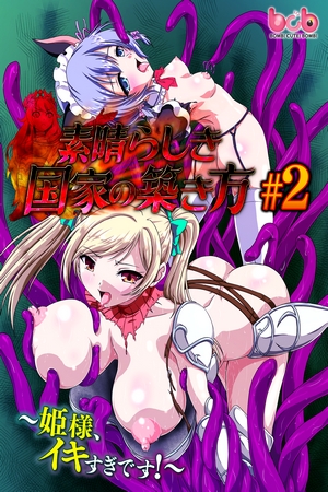 Assistir Subarashiki Kokka no Kizukikata Online em HD